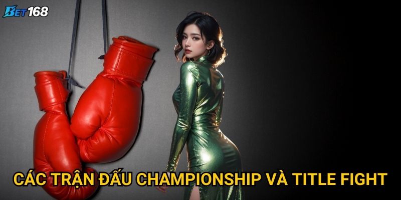 Các trận đấu championship và title fight