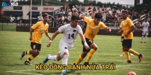 Kèo đồng banh nửa trái